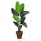 5.5ft. Travelers Palm Artificial Tree in Brown Planter